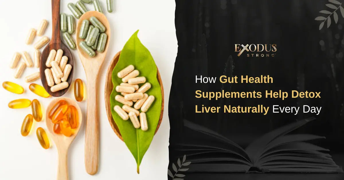 Gut Health Supplements That Really Work for Digestion