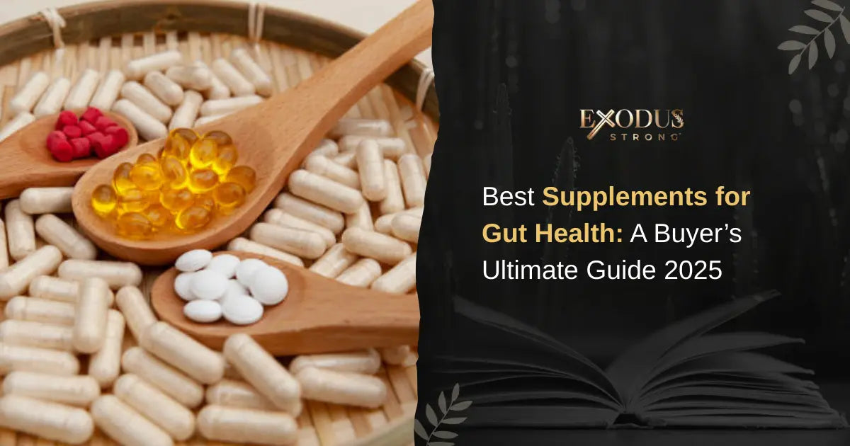 Best Supplements for Gut Health: A Buyer’s Ultimate Guide