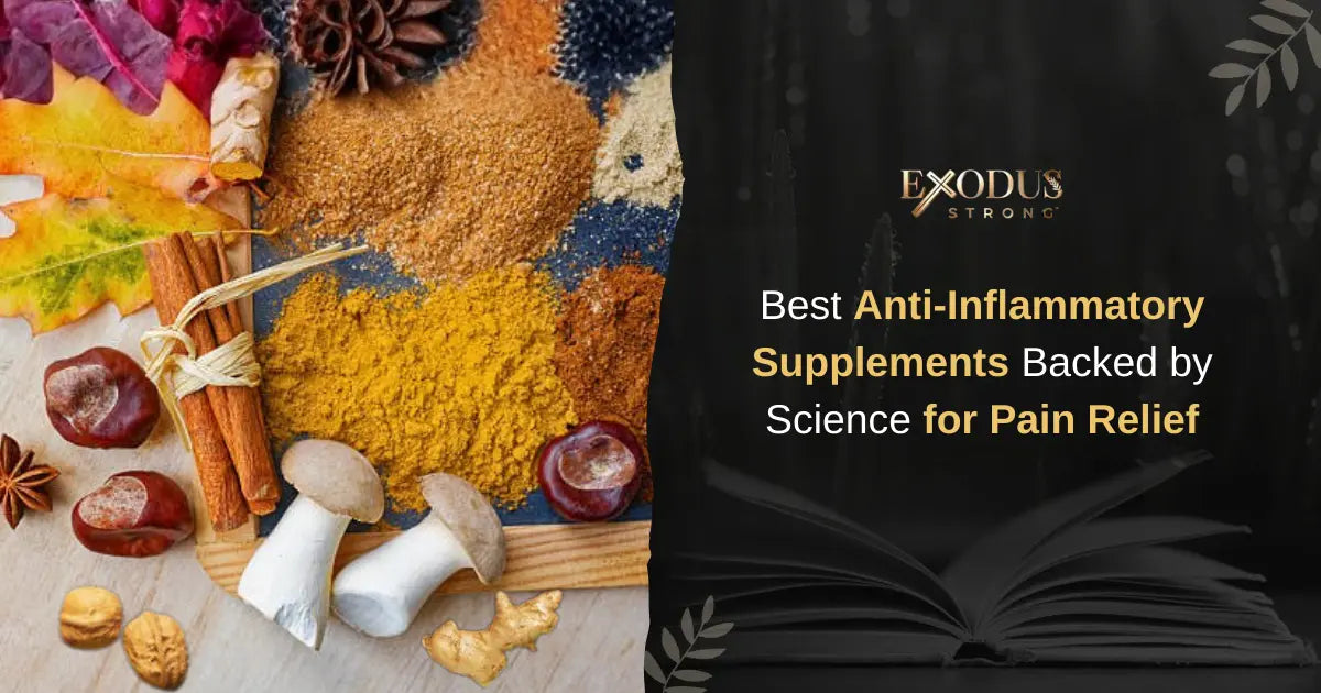 Best Anti‑Inflammatory Supplements Backed by Science