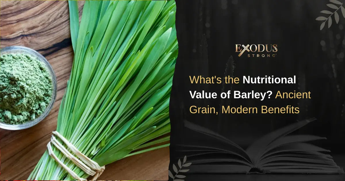 Nutritional Value of Barley in the Bible & Modern Wellness