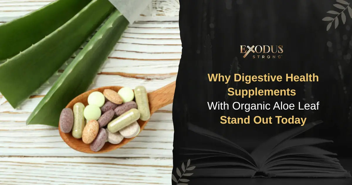 Why Digestive Health Supplements Are Surging in Biblical Wellness