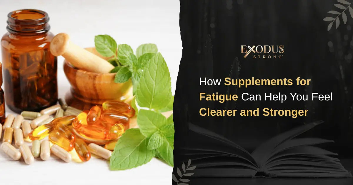 How Supplements for Fatigue May Support Natural Energy