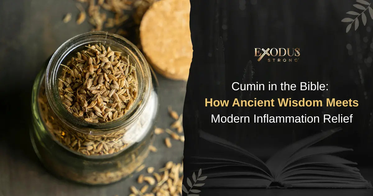 The Role of Cumin in the Bible and Modern Inflammation Relief