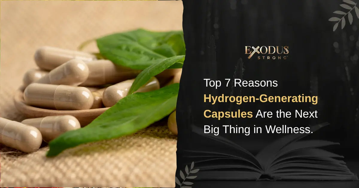 Hydrogen Supplement Guide: How H₂ Fuels Your Energy & Recovery