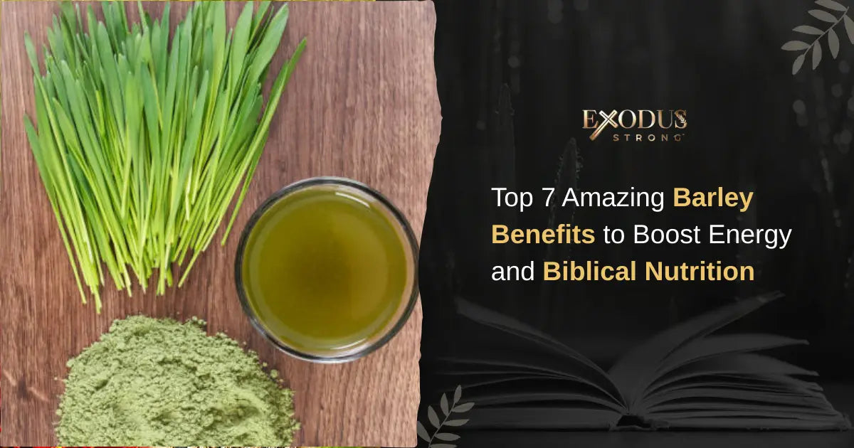 7 Amazing Barley Benefits Backed by Scripture