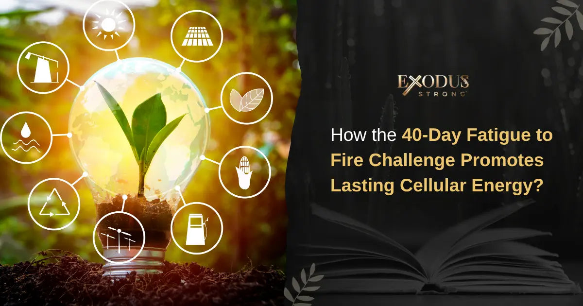 Inside the Fatigue to Fire Challenge: Your 40-Day Path to Lasting Energy