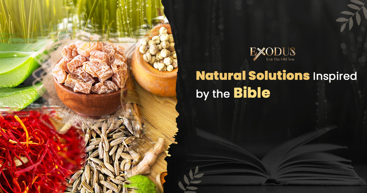 Natural Solutions Inspired by the Bible – blog article featuring Exodus Strong biblical herbal supplement approach