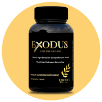 Single Exodus Strong supplement bottle – one-month supply of biblical wellness capsules