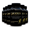 Exodus Supplement Family Pack - 6 Bottles