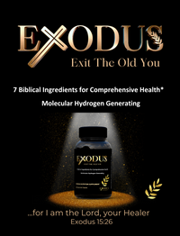 Thumbnail for Exodus Supplement 1 Bottle (60 Capsules Per Bottle)