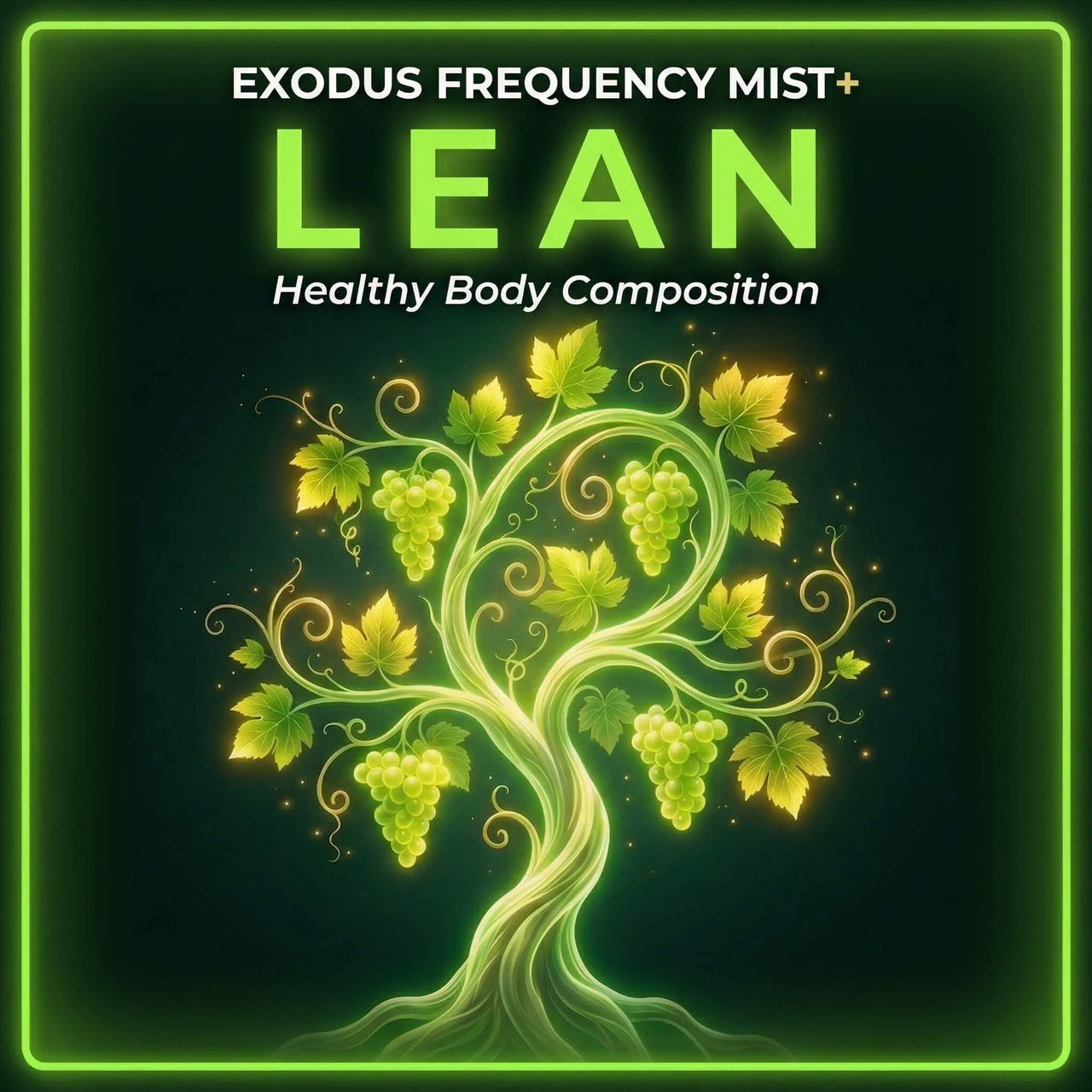 Exodus Frequency Mist+ — The Complete Collection