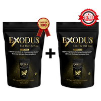 Thumbnail for Exodus Travel Pack - 100 Packs (Today Only)