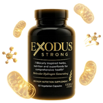 Exodus Supplement