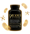 Exodus Supplement