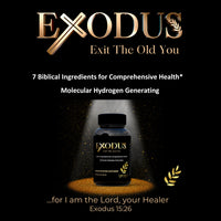 Thumbnail for Exodus Supplement Family Pack - 4 Bottles (Today Only)